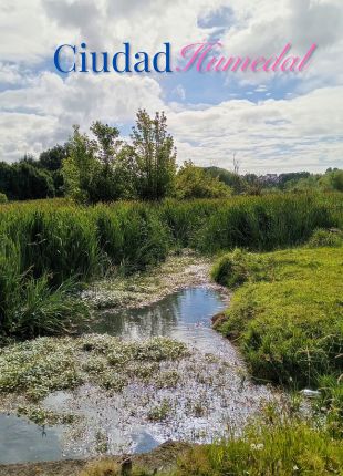 Valdiniebla - Valdivia