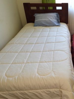 Valdiniebla - Valdivia