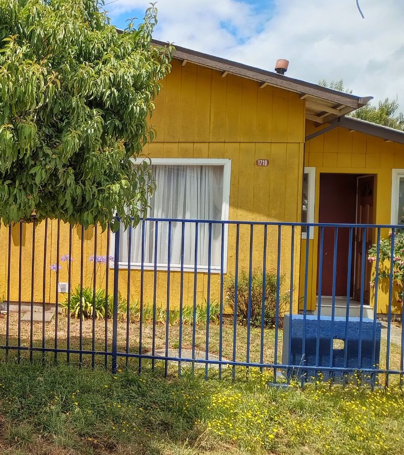 Valdiniebla - Valdivia